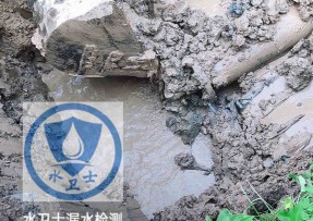 龙子湖区水管漏水检测公司5